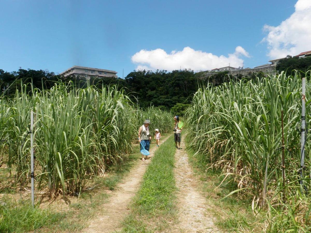 名户 冲绳阳巴鲁福库罗旅馆酒店 外观 照片